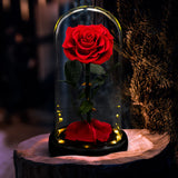 ETERNAL ROSE IN GLASS